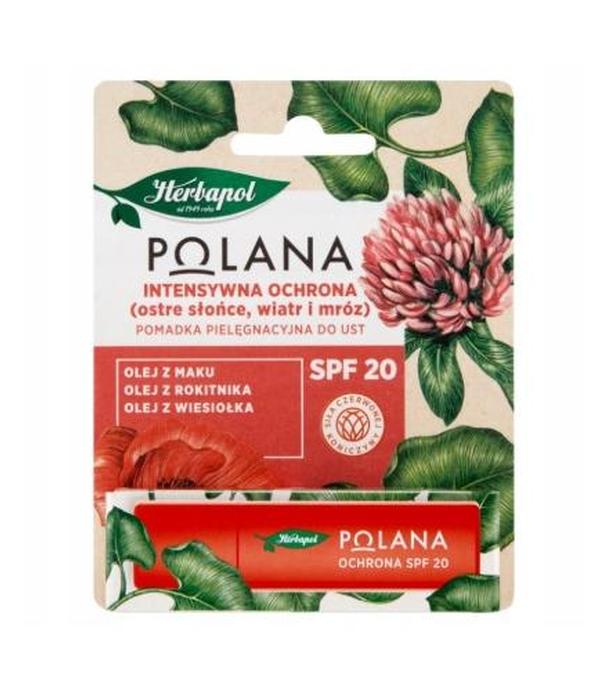 Herbapol Polana Pomadka pielęgnacyjna do ust INTENSYWNA OCHRONA SPF 20, 4.7 g