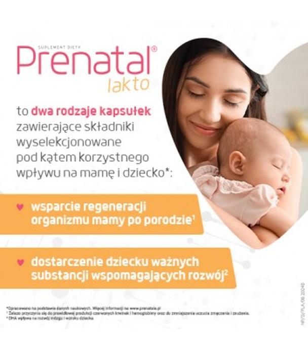 Prenatal Lakto, kapsułki miękkie + kapsułki twarde, 30 sztuk + 30 sztuk