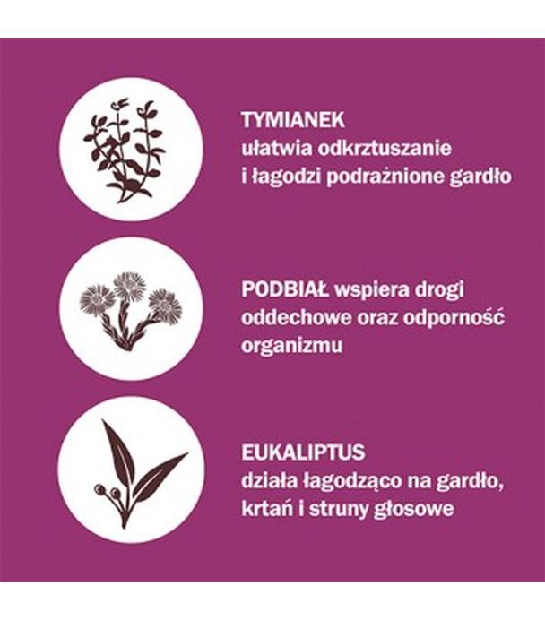 HERBITUSSIN TYMIANEK I PODBIAŁ, 12 pastylek - ważny do 2025-09-30