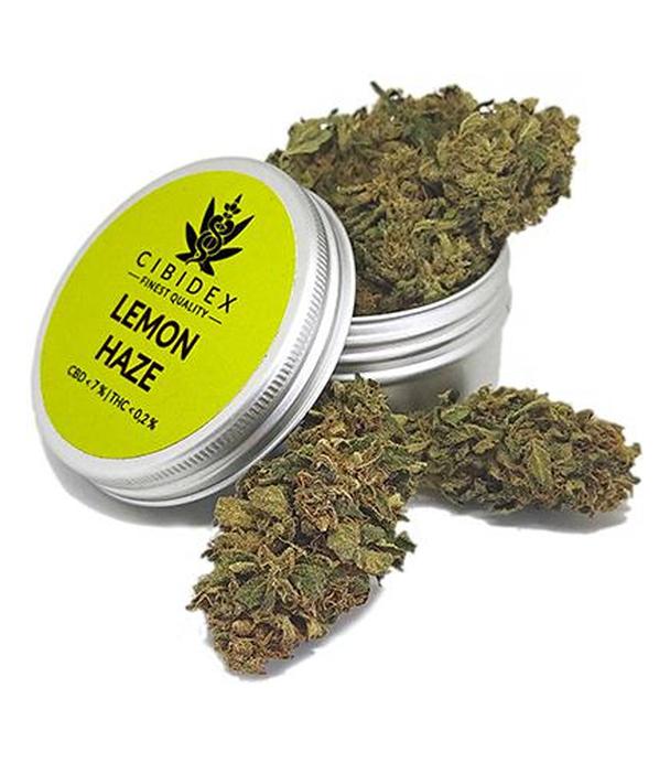 Cibidex Susz konopny CBD Lemon haze - 2 g - cena, opinie, stosowanie