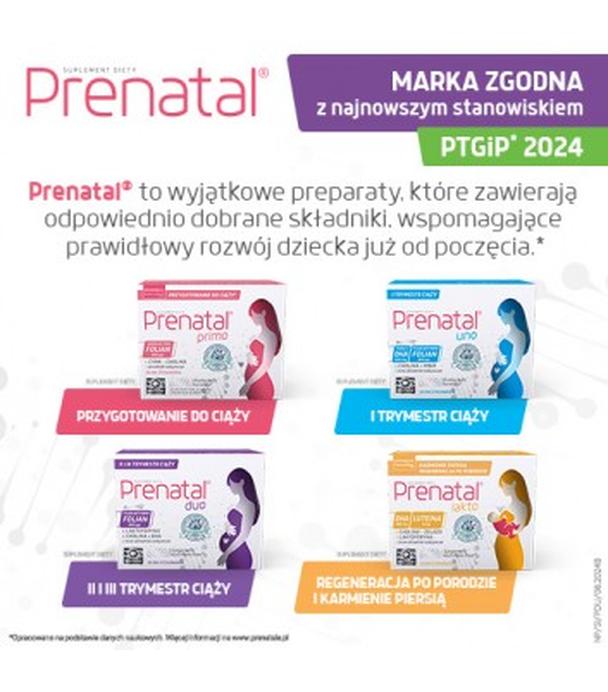 Prenatal Duo, 30 kapsułek Classic + 60 kapsułek DHA