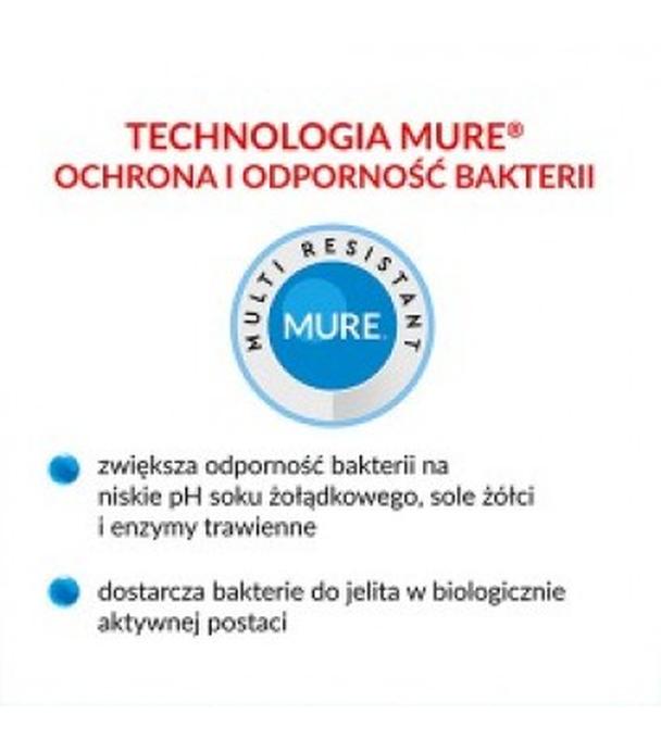 Multilac, synbiotyk (probiotyk + prebiotyk), , kapsułki, 20 sztuk
