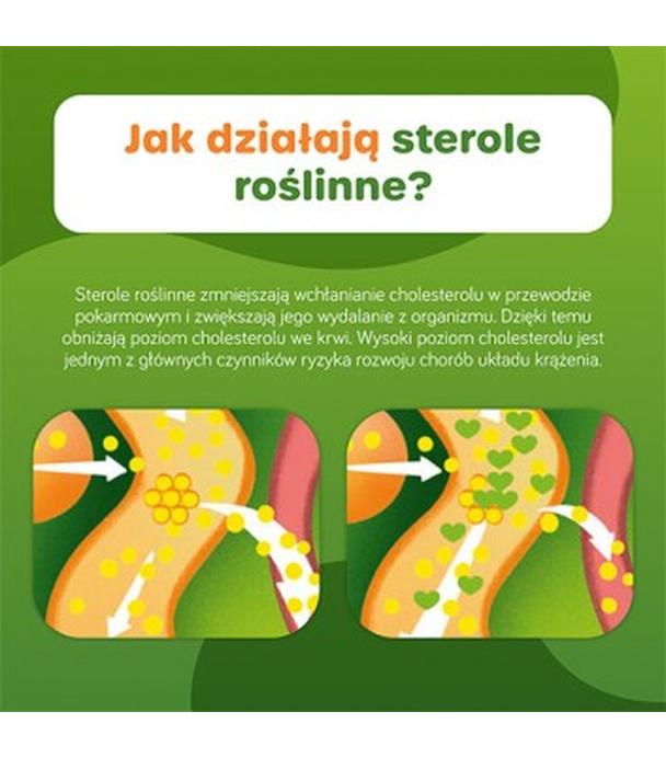 Danacol Plus, saszetki, 21 sztuk