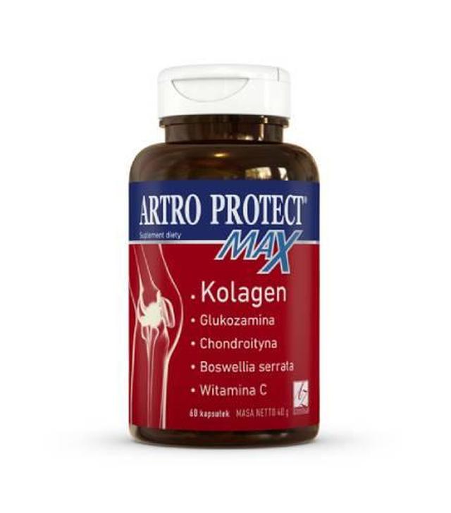 Artro Protect Max, kapsułki, 60 sztuk