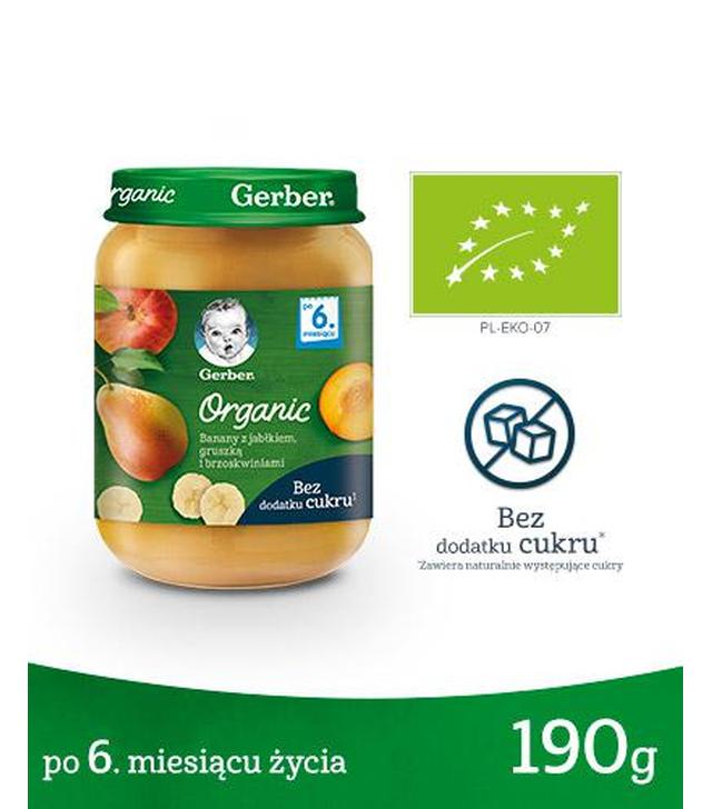 Gerber Organic Banany z jabłkiem, gruszką i brzoskwiniami po 6 miesiącu - 190 g - cena, opinie, wskazania