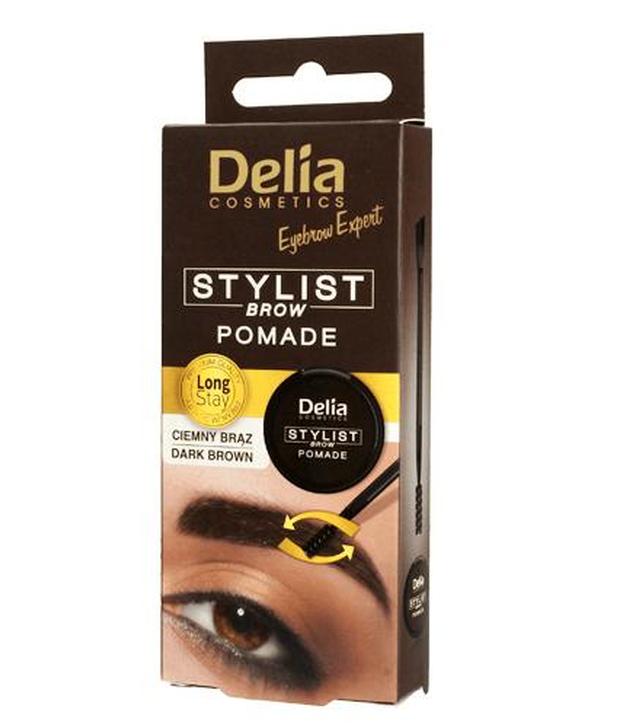 Delia Pomada do brwi ciemny brąz 3.0 - 1 szt. Do makijażu i korekty kształtu brwi - cena, opinie, stosowanie
