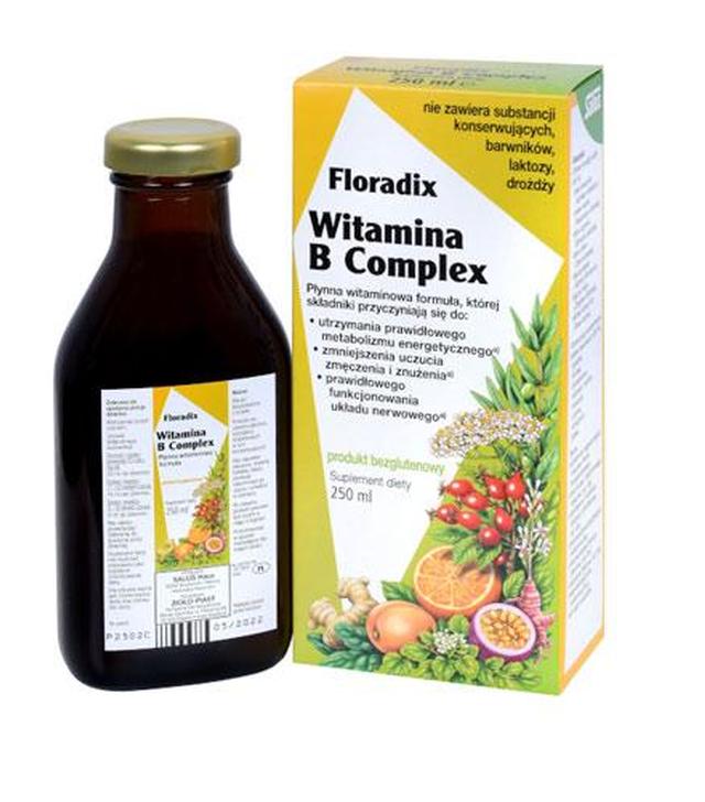 Floradix Witamina B Complex - 250 ml - cena, opinie, właściwości