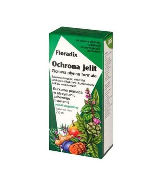 Floradix ochrona jelit tonik, 250 ml
