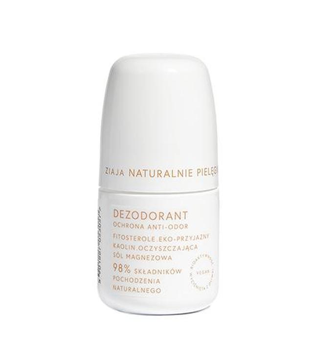 Ziaja Naturalnie Pielęgnujemy Dezodorant ochrona anti-odor, 60 ml, cena, opinie, wskazania