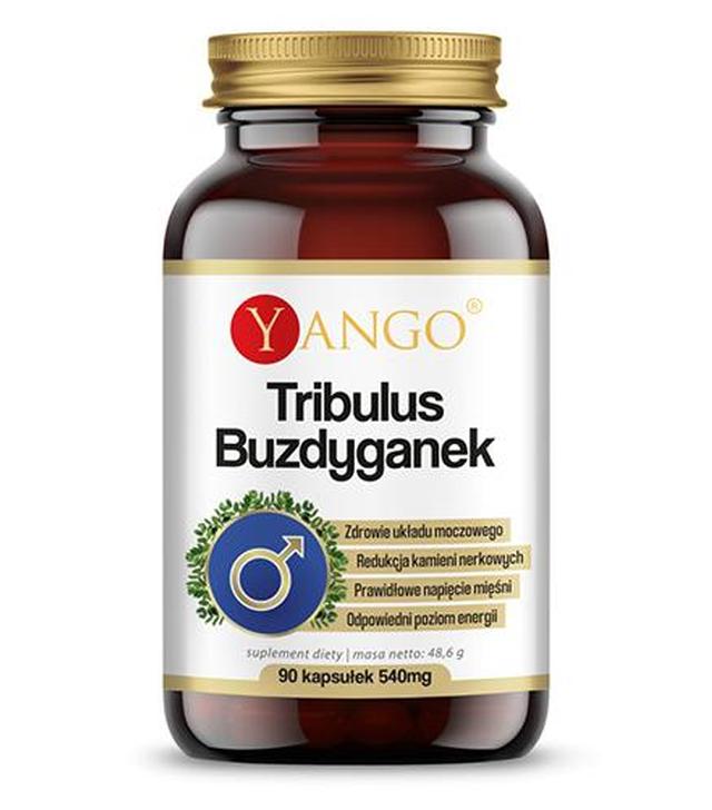 Yango Tribulus Buzdyganek, 90 kaps. cena, opinie, właściwości