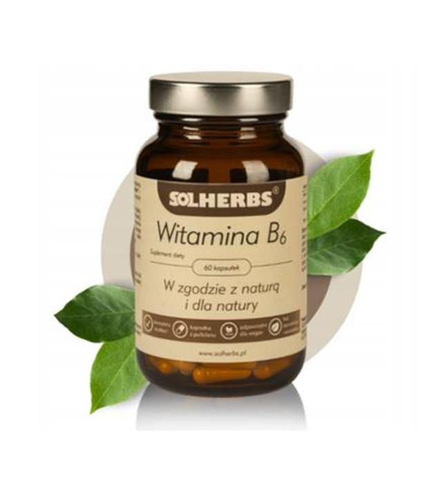 Solherbs Witamina B6, 60 kapsułek - ważny do 2025-10-31