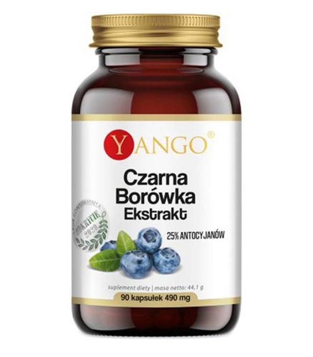 Yango Czarna borówka Ekstrakt 490 mg 90 kapsułek