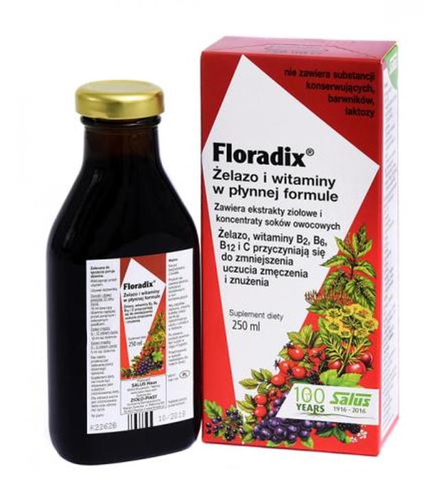 Floradix, płyn żelazo i witaminy, 250 ml