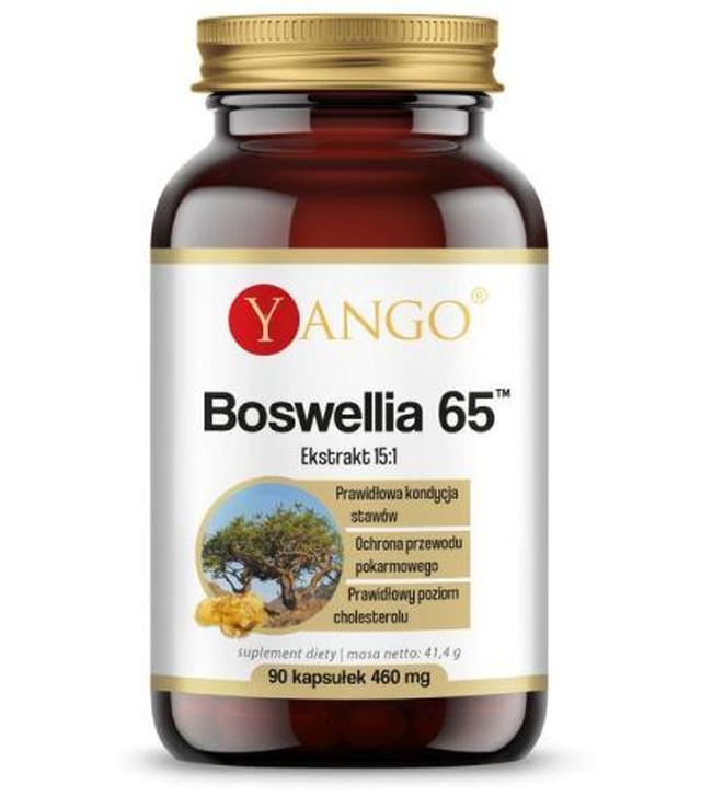 Yango Boswellia 65, 90 kapsułek
